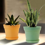 WOUSIWER 16 Pack 6 inch Plastic Planters, Indoor Flower Pots, Heavy Duty and - Image 8