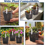 5.5 Inch Clear Square Nursery Pots - Image 7