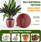 Self Watering Pots for Indoor Plants, Small African Violet Pots - Image 3