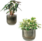 Melphoe Self Watering Pots for Indoor Plants Planter, 8.3/5.3 Inch 2 Pack by Melphoe