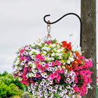 Cast Iron Plant Hooks for Hanging Baskets Indoor, Heavy Duty Plant Hangers - Image 6
