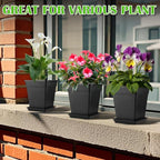 6 inch Plant Pots, 10 Pack Flower Pots Outdoor Indoor, Square Plastic Planter - Image 6