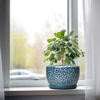 SQOWL 8 inch Plant Pot - Image 4