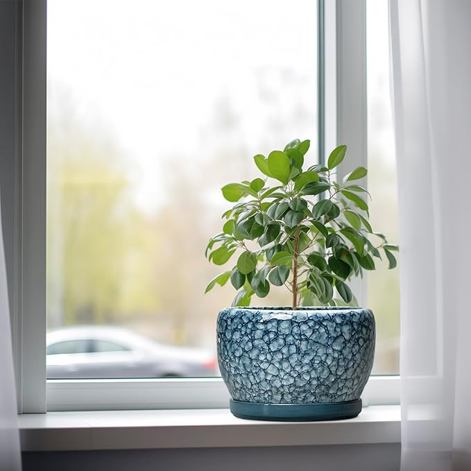 SQOWL 8 inch Plant Pot - Image 4