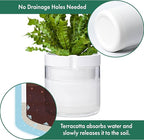 Phoenix Vine 8 Inch Self Watering Planter - Image 5