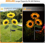 Solar Sunflower Lights, 800mA Solar Garden Light - Image 2