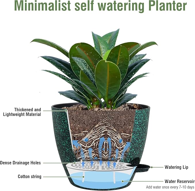 12 inch Large Self Watering Pots - Image 4