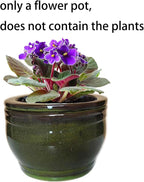 African Violet Pots Self Watering Round Ceramic Violet Pot - Image 6