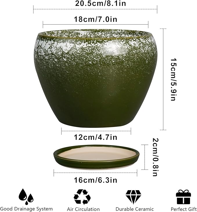 8 Inch Plant Pot - Image 3