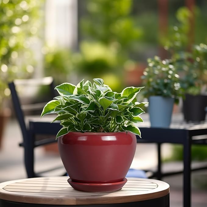 Ceramic Pot for Plants - Image 4