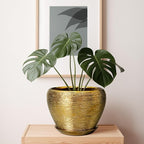 Ceramic Planter 10 Inch - Image 6