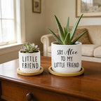 Say Aloe to My Little Friend Planter Pot, Funny Plant Pots, Aloe Plant Pot - Image 5