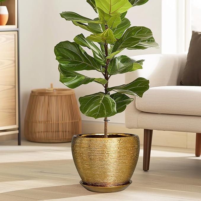 Ceramic Plant Pot 8 Inch - Image 5