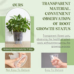 Self Watering Pots for Indoor Plants - Image 5