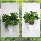 5PCS Monstera Plant Stem Support - Image 3