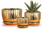 Ton Sin Gold Plant Pots, 4.1+5.1+6.5 Inch Ceramic Succulent Planters Set of 3 by TonSin