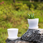 TDHDIKE 10 Pcs Plastic Planters Indoor Flower Plant Pots, Mini Flower Seedlings - Image 5