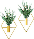 2 Pieces Gold Wall Decor Hanging Planters by Canlierr