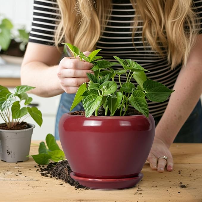 Ceramic Pot for Plants - Image 7