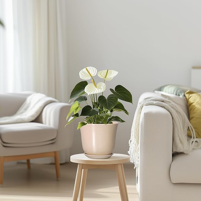 Ceramic Pots for Plants - Image 7