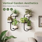 Window Plant Shelves Indoor Outdoor Wall Planters - Image 2