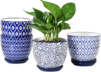 Selamica Ceramic Plant Pots, 5.6 Inch Flower Pots by Selamica