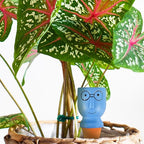 4 Pack Terracotta Watering Spikes, Vacation Self-Watering Planters Devices - Image 7
