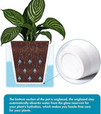 D'vine Dev 10 Inch Design Self Watering Planter - Image 4