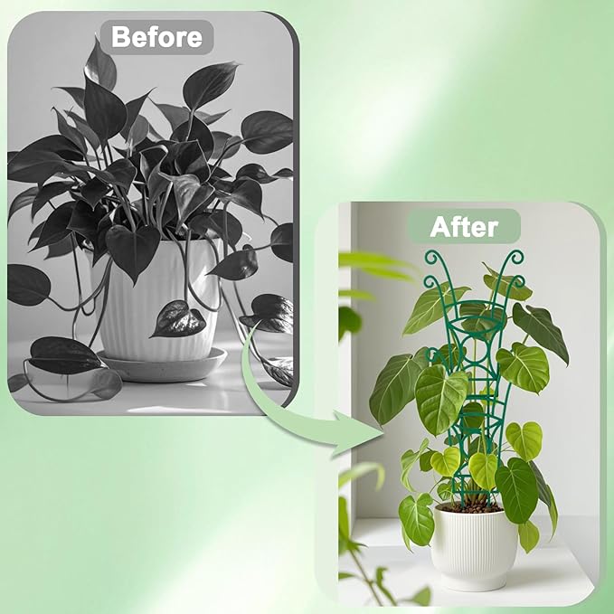 4 Pack Stackable Plant Trellis for Climbing Plants, Indoor/Outdoor Garden - Image 5
