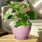 Ceramic Modern Glaze Succulent Planter Pot - Image 7