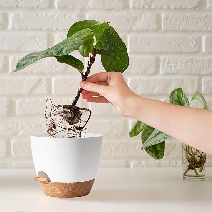 Indoor Plant Pots for Lazy People, African Violets, Snake Plants, Flowers and - Image 6