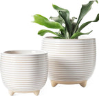 LE TAUCI Ceramic Plant Pots, 5.1 + 6.4 Inch Footed Pots by LETAUCI