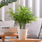 Plant Pots 6 PCS 5 inch Self Watering Planters High Drainage Flowers Pot - Image 4