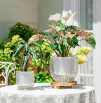 Melphoe Self Watering Pots for Indoor Plants Planter, 8.3/5.3 Inch 2 Pack - Image 3