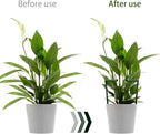 12 Pack Plant Support Stakes - Image 2