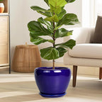 Ceramic Plant Pot 8 Inch - Image 2