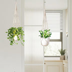 Macrame Plant Hanger Indoor Set of 2 - Image 7
