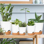 GARDIFE Plant Pots 7/6.5/6/5.5/5 Inch Self Watering Planters - Image 7