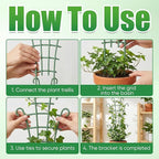 6Pcs Indoor Small Trellis, Trellis - Image 7