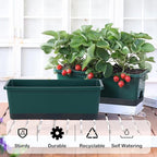 Window Box Planter 8 Pcs, 17 Inches Rectangle Flower Pots - Image 3