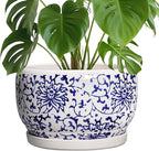 SQOWL Ceramic Pots for Plants by SQOWL