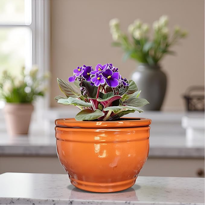 African Violet Pots Self Watering Round Ceramic Violet Pot - Image 7