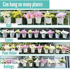 LaLaGreen Hanging Planters - Image 9