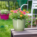 Ceramic Flower Pots - Image 4