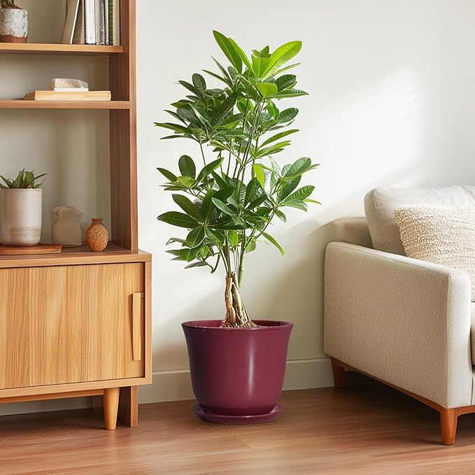 Ceramic Plant Pots - Image 4