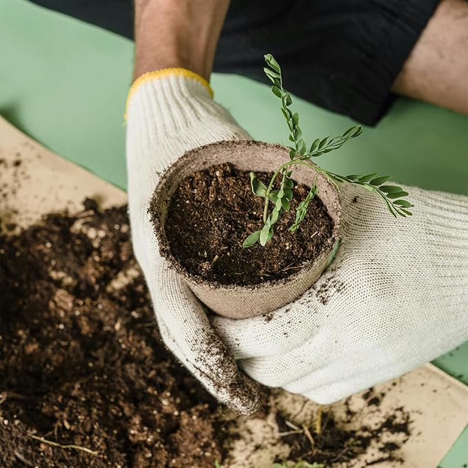50 Pack 4 Inch Peat Pots, Biodegradable Seed Starter Pots - Image 3