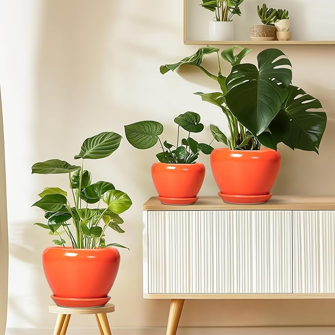 Ceramic Pot for Plants - Image 8