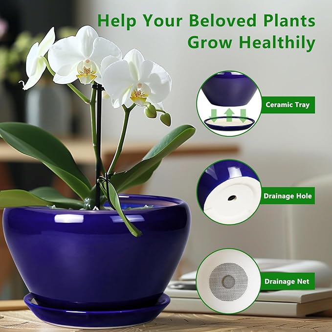 Ceramic Pot for Plants - Image 6