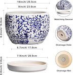 SQOWL Ceramic Pots for Plants - Image 3