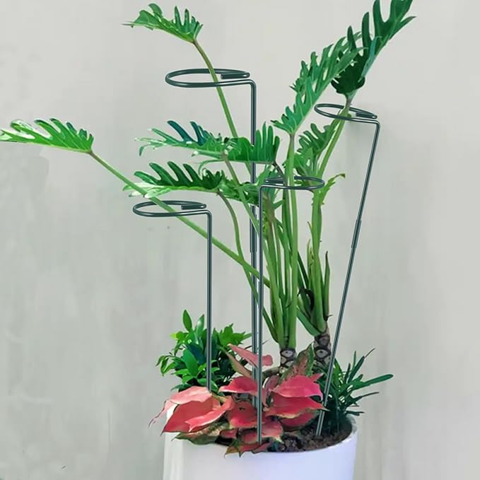 Plant Stake Support - Image 5